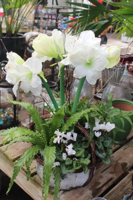 4aef2a526551131a747ff2054d14b2ea