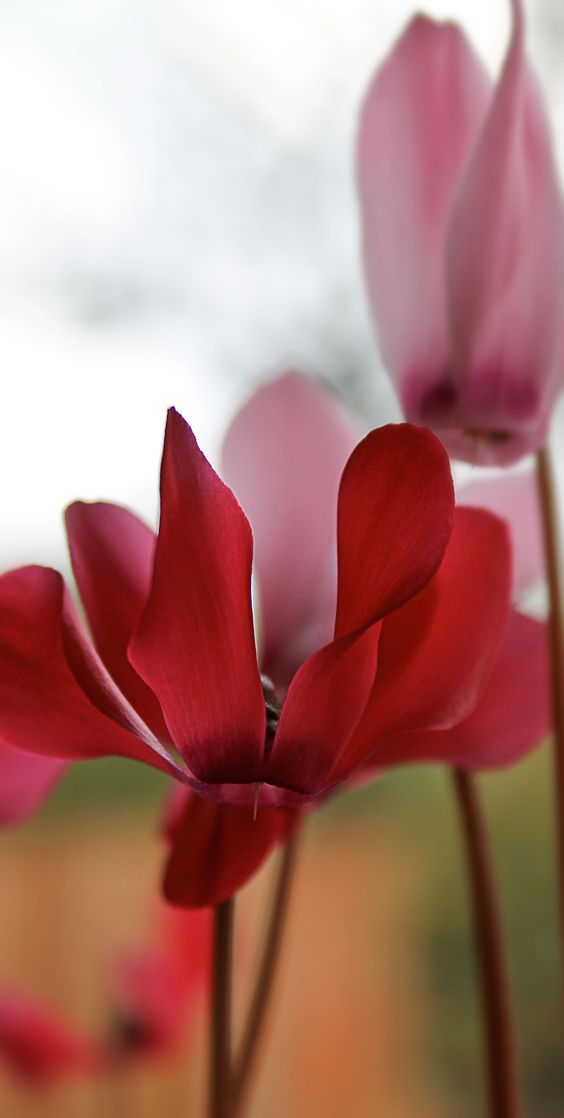 501b025a9e32d3b32a5be65653fb168f