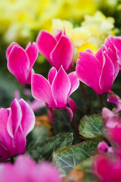 57e2f254e202cb63554e1fdf6bda3e4c