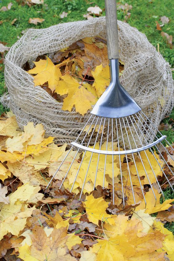 580bec18247f3ae61946b1aa52b132a1