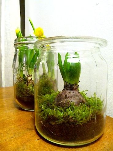 5988521a33141fd5ccec05c8e6278d35