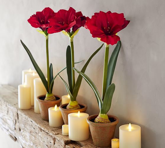 5ea38166d53abadfb931243873609705