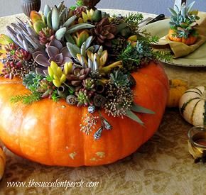 60ad3ce9c073c55566780d9790528bd3