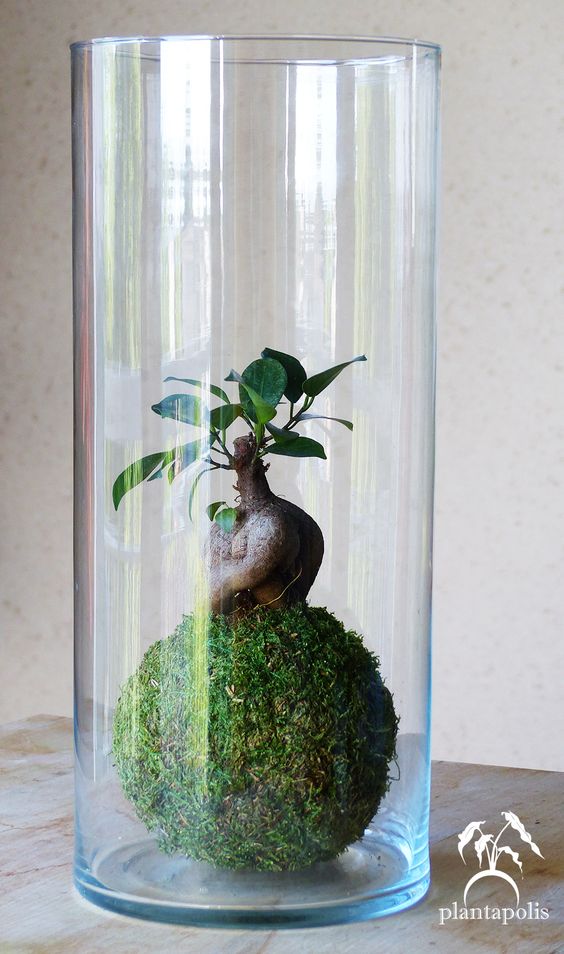 693885057418d7fb4a46d3d5efc21d22