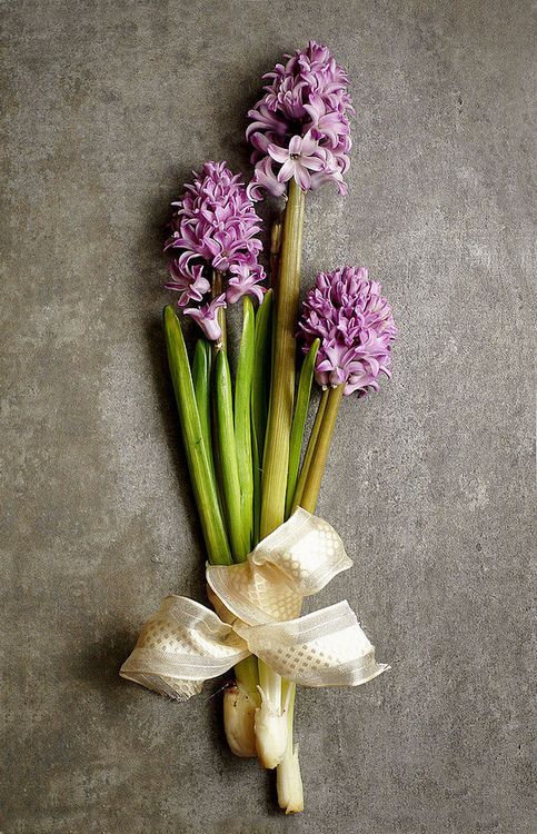 69af2fa328aeaae9534ee6b1196c1e72