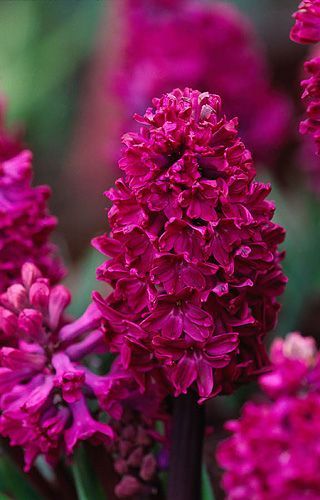 6aa23ce7488586fde605a40c0f80b9ce