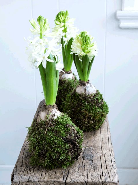 71b01968b8ac0b26f88330b80f287428