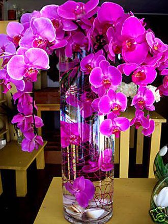 74c9667e41a98be5c86801a161dd98e5