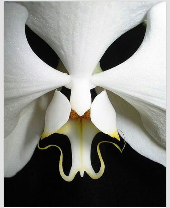 7516c40d9774f974348b8c40fcc1cf43