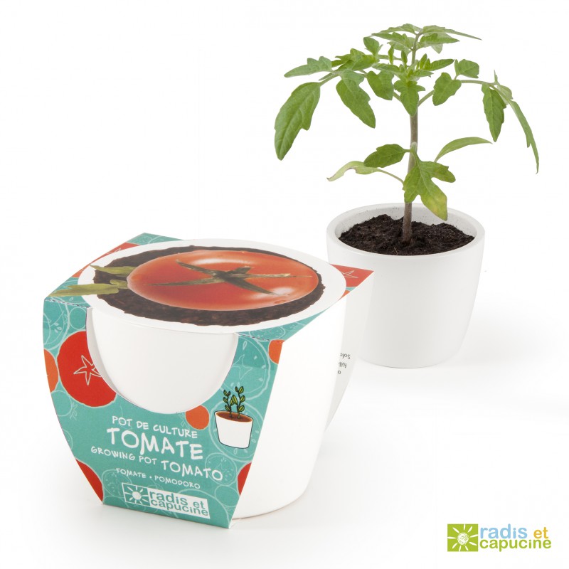 780e8f6bca328732fc97f19089e9138b