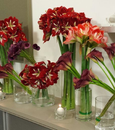 7fda614337e2e68afb23588eeb9347aa