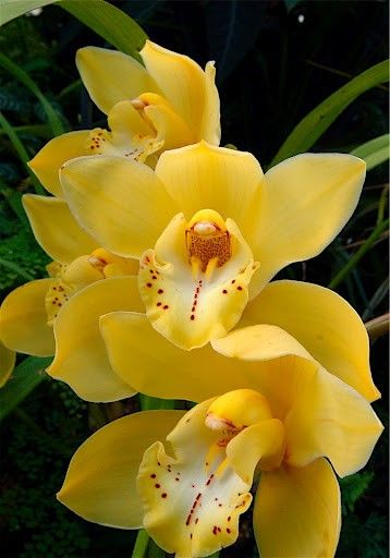 8c9d5ebc2d1158211722e40b7ec2d430