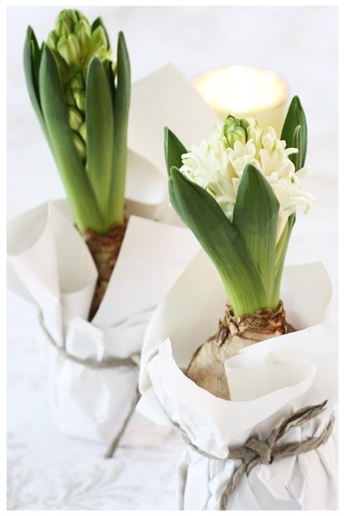 8f7416b88b34f17ab08238eeeddb7cb0