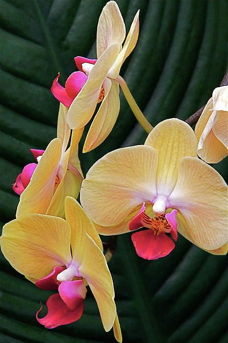 97ddc4b3861a8d4004a2e4e562e23b1b