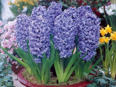 9f21bfe9ce6374eb69492973a0ab466e