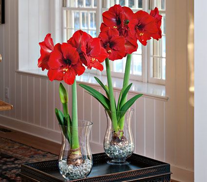 a10f2830272e20420f0426487ce89f6c