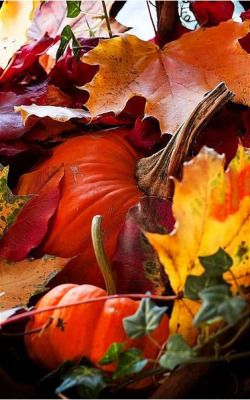 a460e8c8463e55cf4b4040b6fe22b1f0