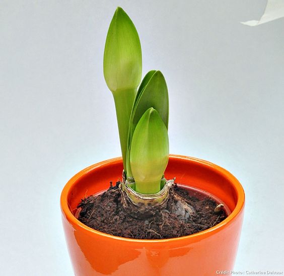 adbde832ec223dde5acc54753489246b