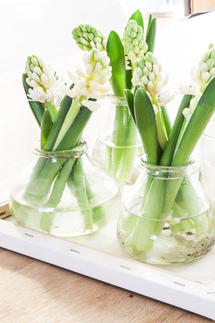 b12c6318b8647e8e5b4de805df70ceb1