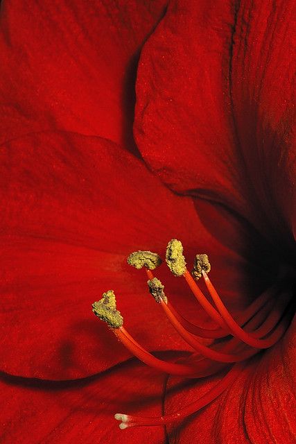 b5608c0ffba377c9b29d2d3763ab6e75