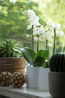 bbbd6929ad6a85035483f50804d38584