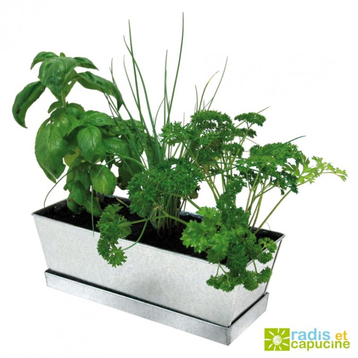 bc7f4eca36646d66d62427b93ba6fb2a