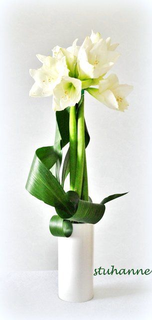 bd547111f92512138fd1066148ee37d4