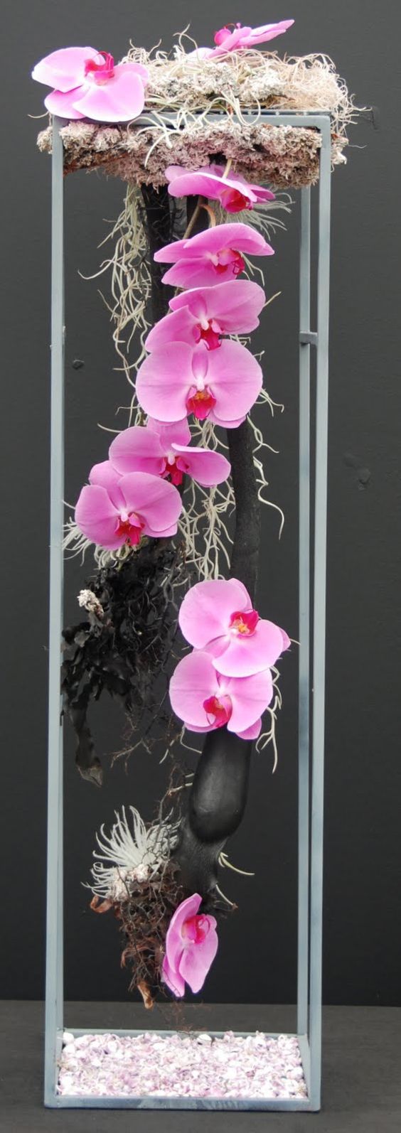 be02779b15e66f6c24d35830ce7f163b