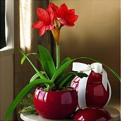 bf0c823e42cc039b75ce3cbd70d31611