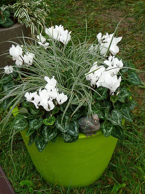 bf1f2f88db736fed2fee06c01b316371