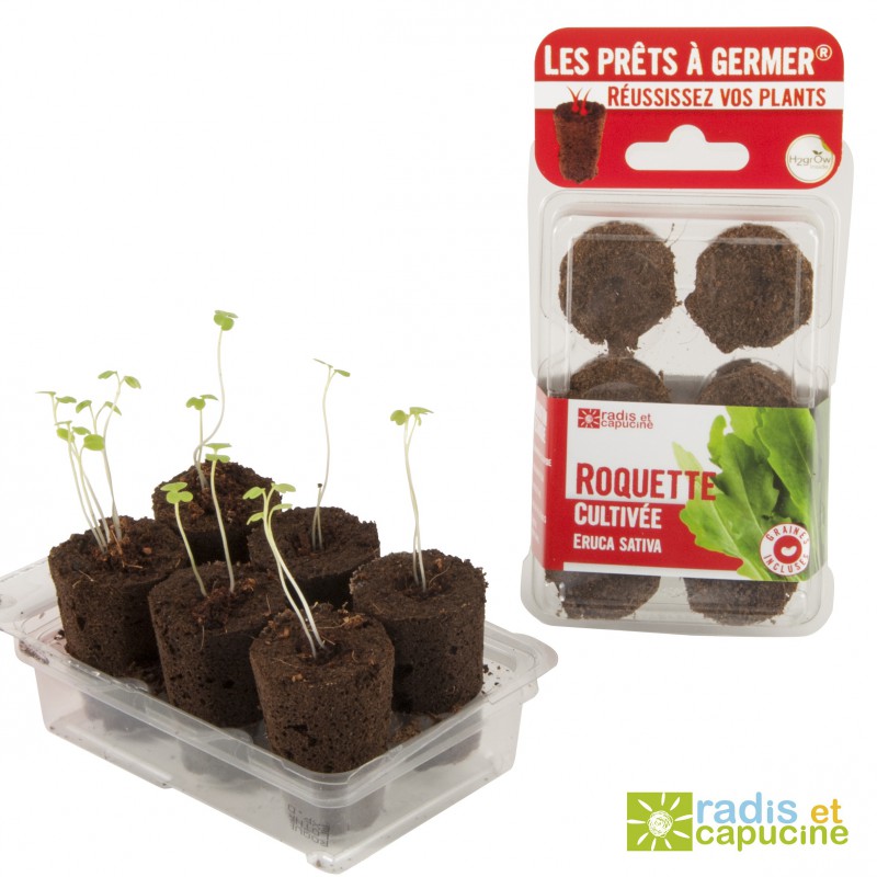 c3974d10724ca6924da21e179f29ab78