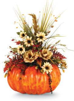 c58a187b905f90abab0a851856a443d0