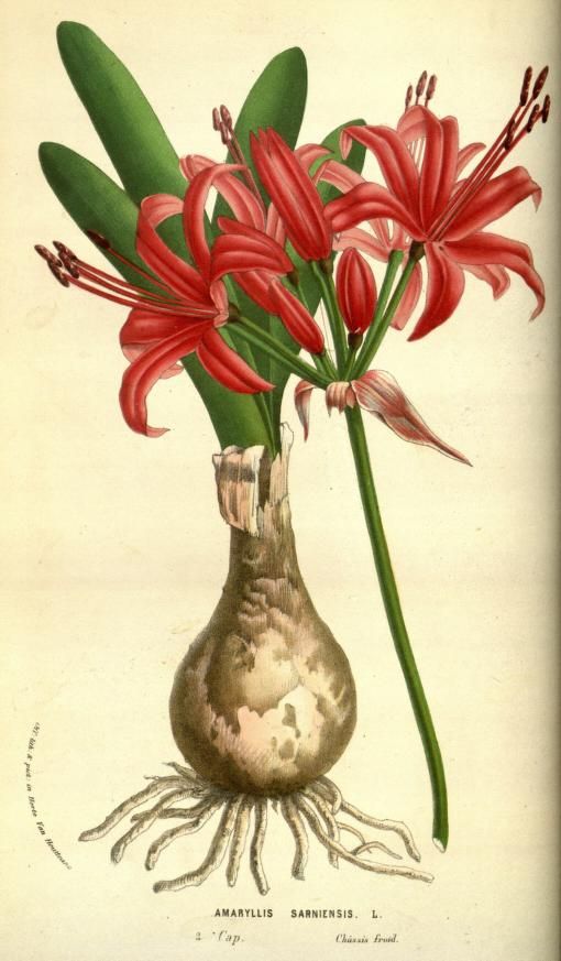 c71c4e9c7c1e8e8bea84edc3923e7c96