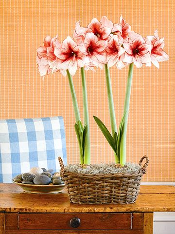 c7b1d062cf2029c5cb335208c3521ff4