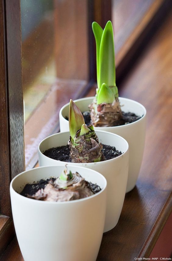 ca47d4962bb363d87a6301959e748e8a