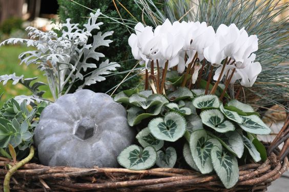 cda7b7c8d568fbf397f7a6ba15858422