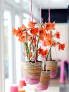 cfc805e4c36677a2346632a3937e17d7