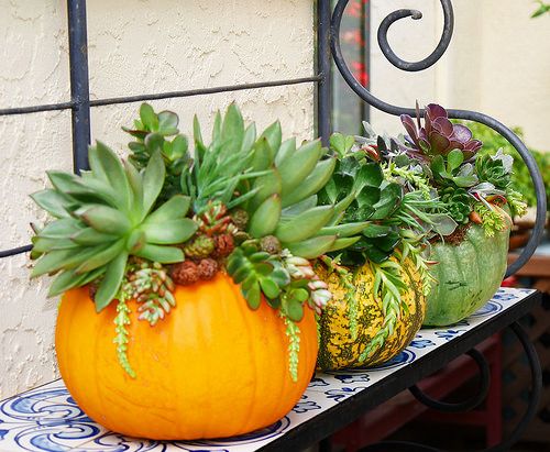 dfe0d3a2be2ae77c531417a87888382f