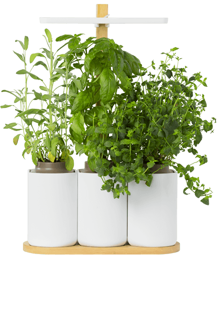 e24ac2b1856708593615b41d2847013f