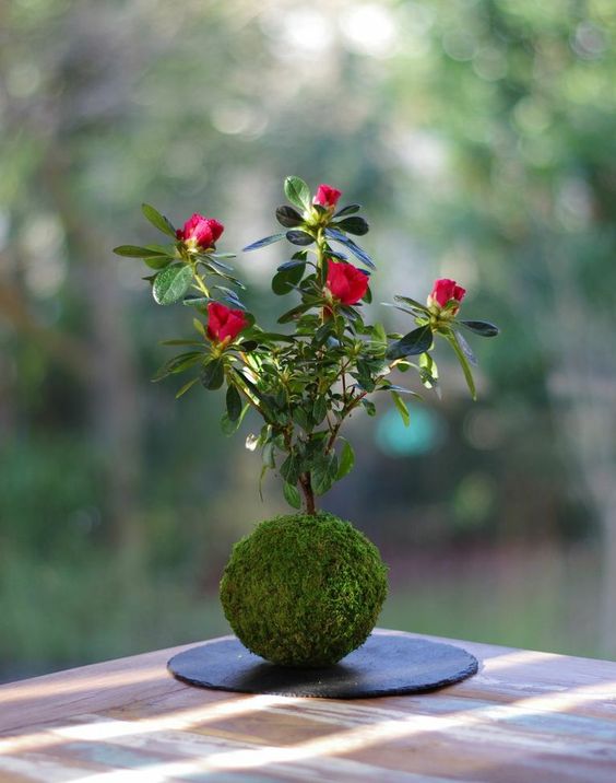 e6eaaeefe1d6fd53f4a46480672e70a2