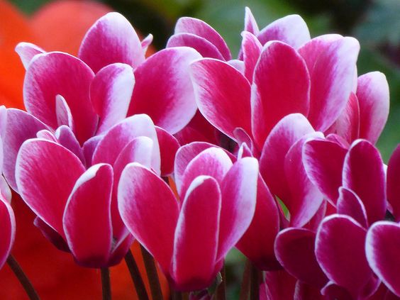 e799ed59f31ed9f57951b197a4cc5f2d