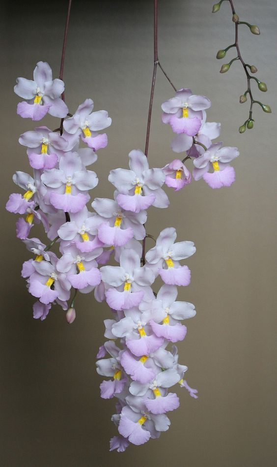 ed2a3da19fe3d51c8b8e7531ec907525