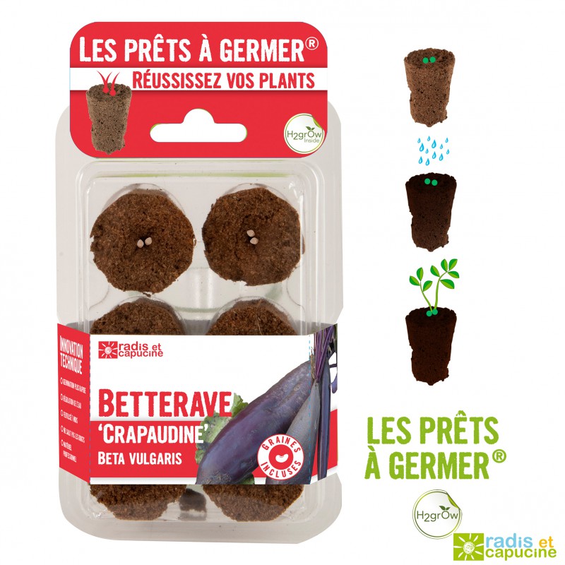 eff9a08c706982cf071dc489d81a6c52