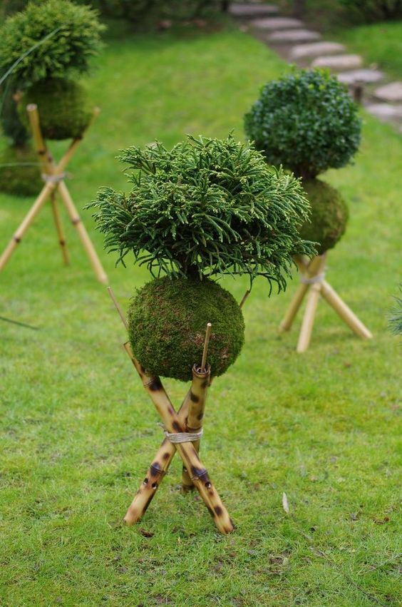 f10926cbcca4a562f130fe38940664d4