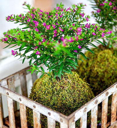 gergely-hideg8-e1416322242540