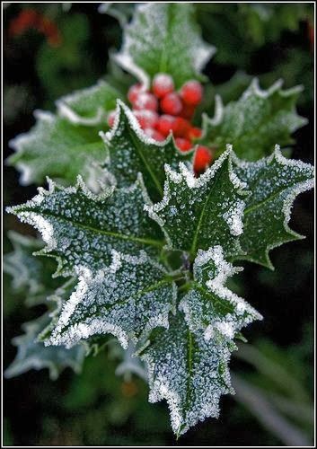 1109307def799fda4bc1752d13f51379