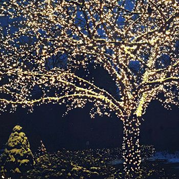 2dc1bf222e1b7b294ec82a2b78ab8a04