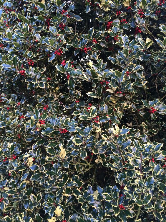 4a74503ec29267209528b14038237d5c