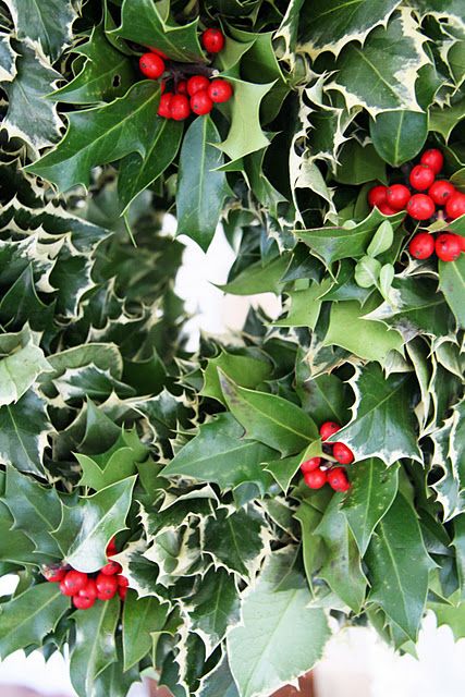 56959375781421344c3de47a56e77215