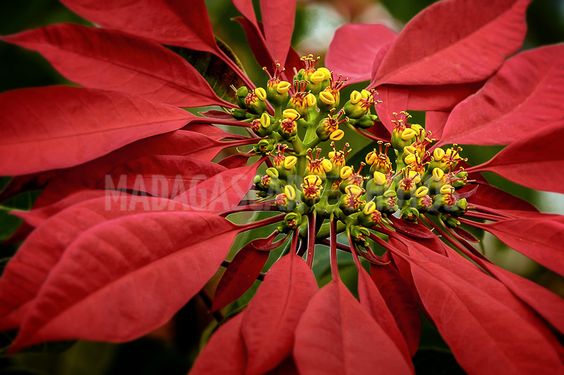 660a0e20dd3f9826e60692836a0e40ba